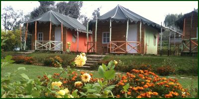 Hotel In Chail Hill Top Retreat Resort On Chail Kufri Shimla Road